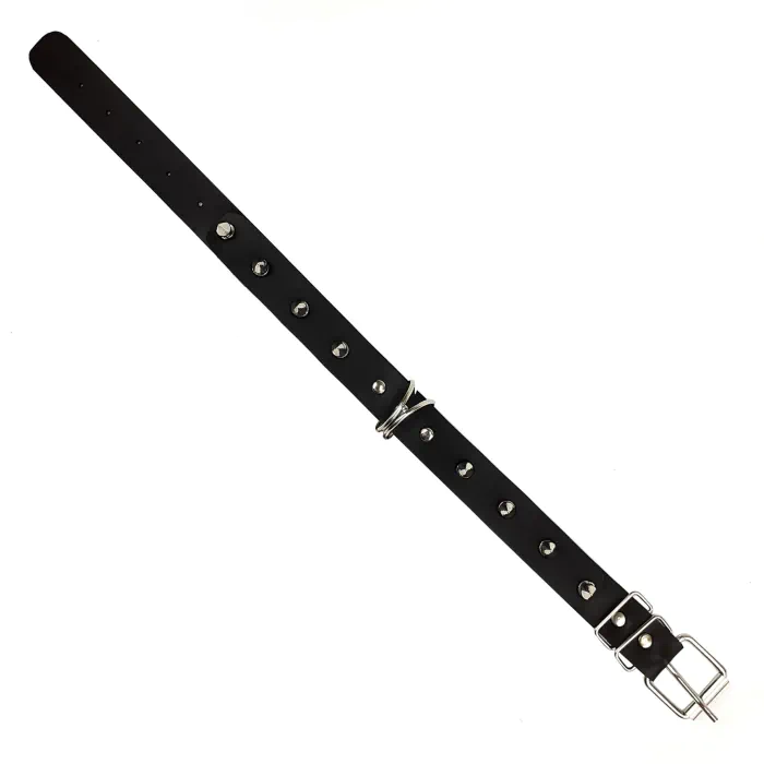 Нашийник Art of Sex Collar Spikes and Leash — фото 4