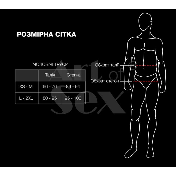 Чоловічі трусики із силіконовою анальною пробкою Art of Sex - Sexy Panties — фото 12
